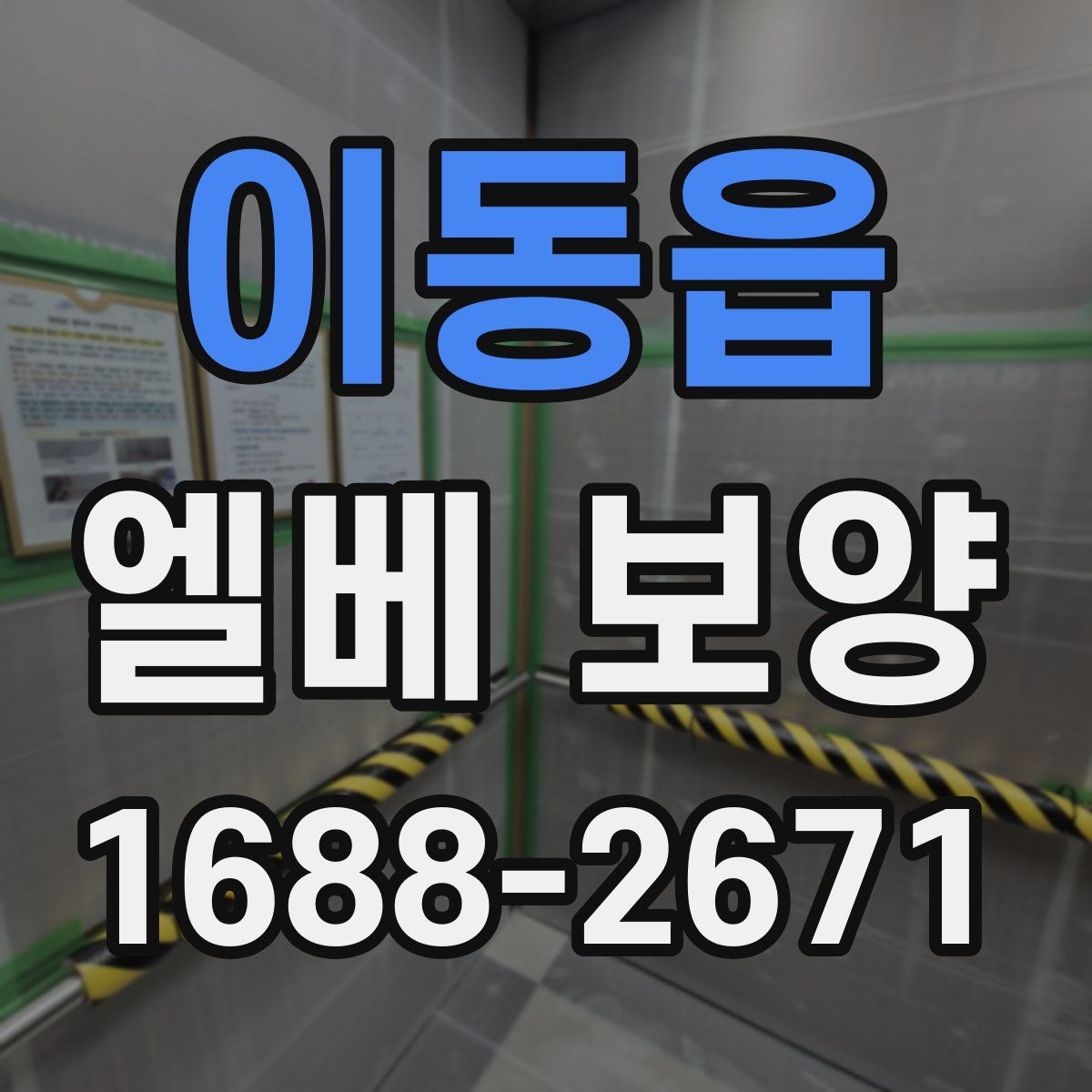 이동읍 엘베 보양