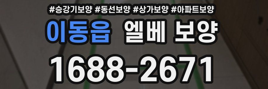 이동읍 엘베 보양