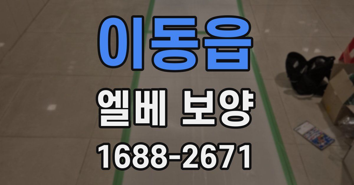 이동읍 엘베 보양