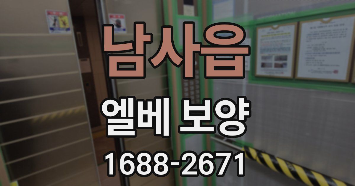 남사읍 엘베 보양