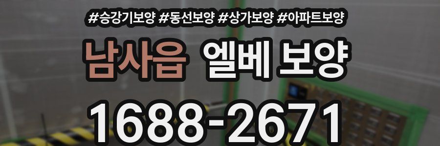 남사읍 엘베 보양