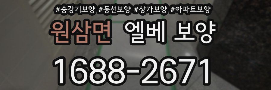 원삼면 엘베 보양