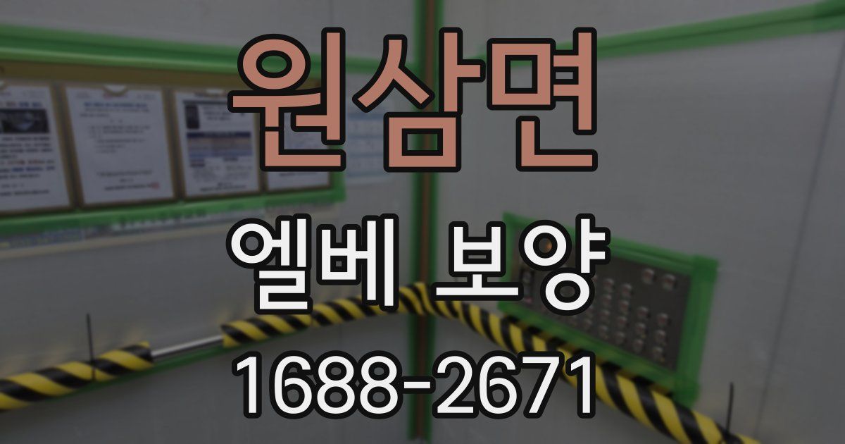 원삼면 엘베 보양