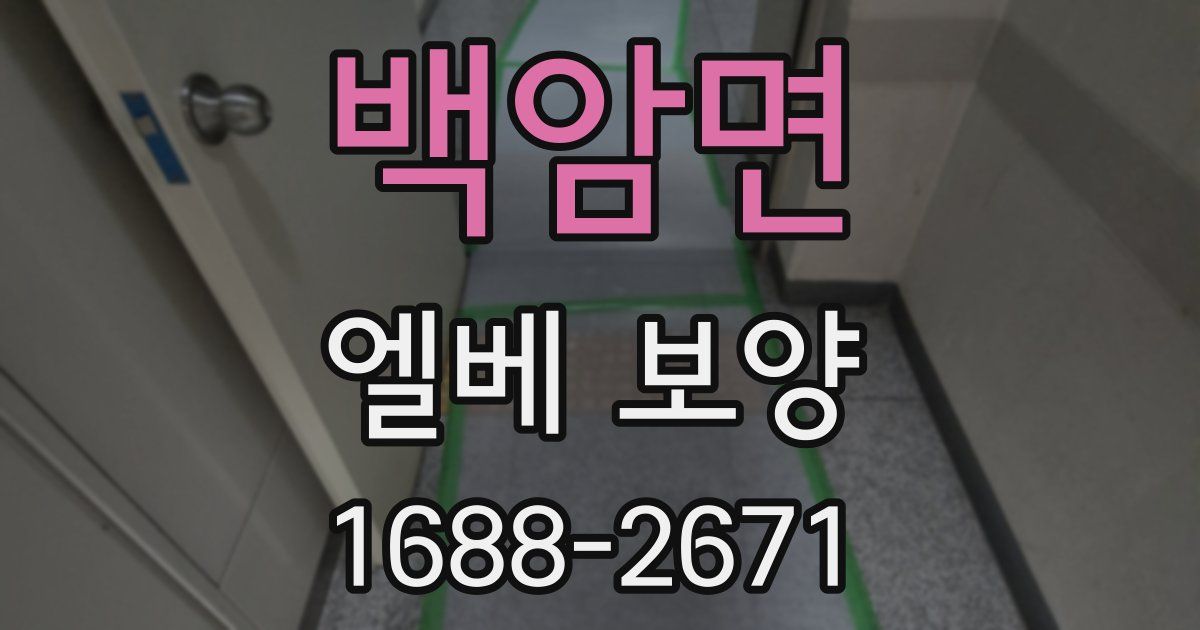 백암면 엘베 보양