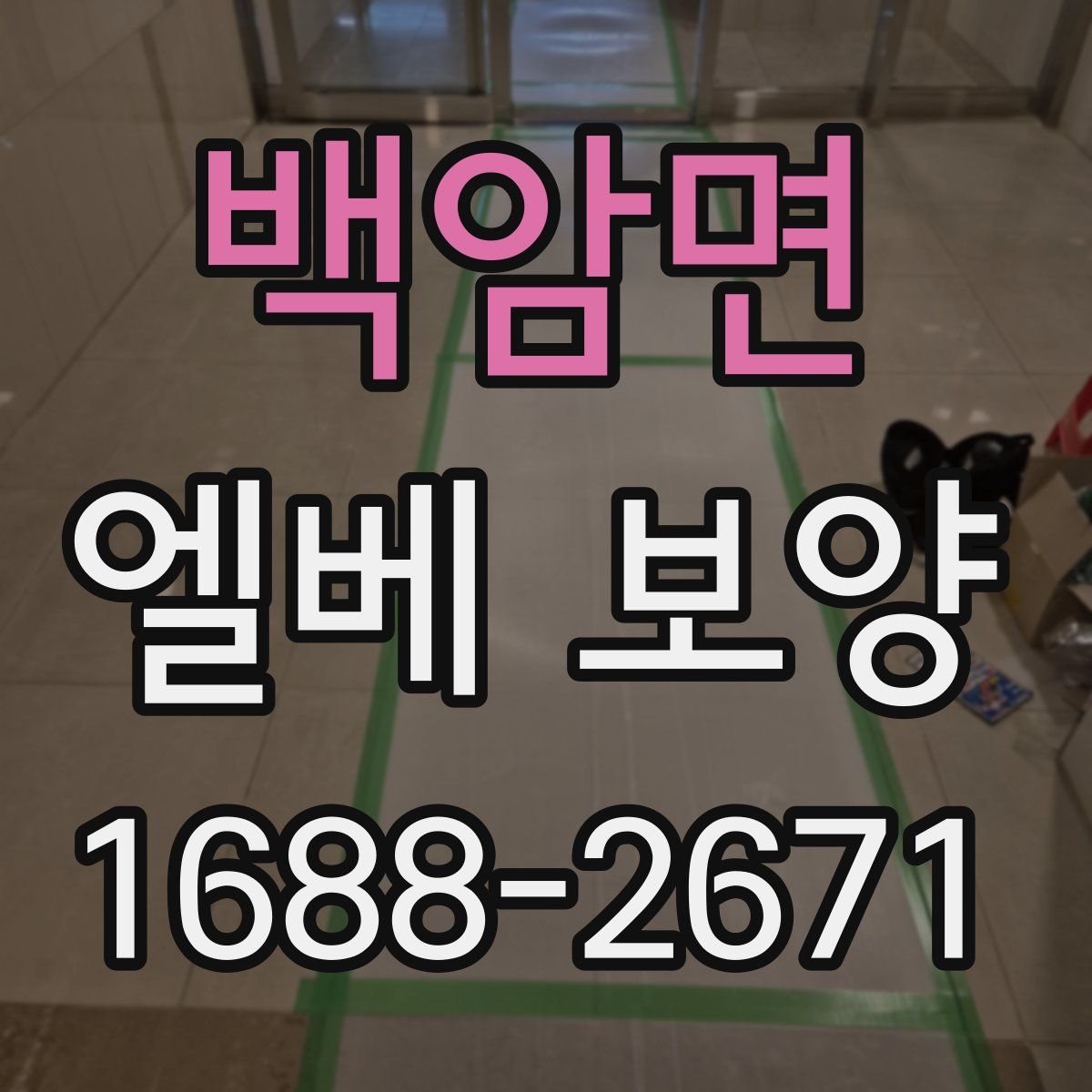 백암면 엘베 보양