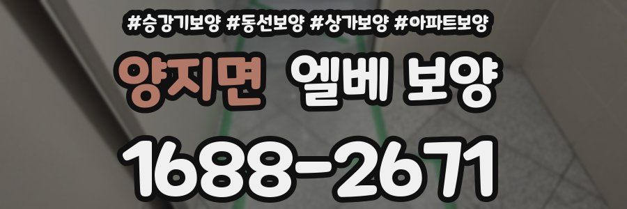 양지면 엘베 보양