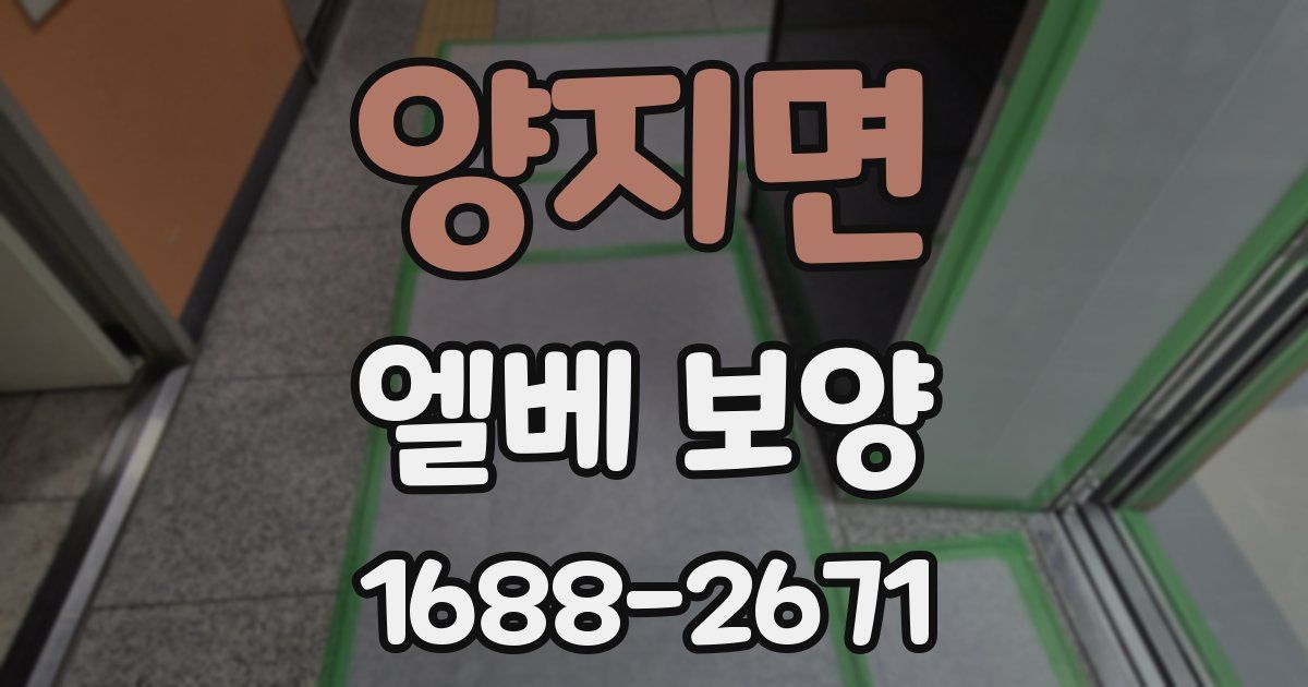 양지면 엘베 보양