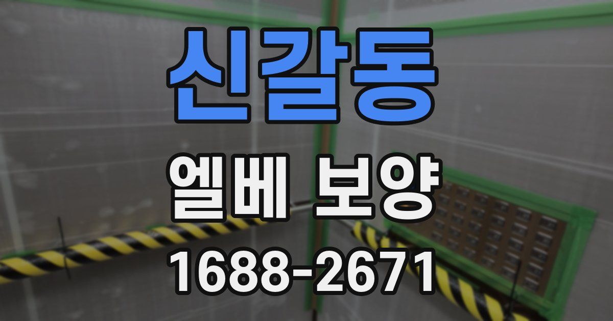 신갈동 엘베 보양
