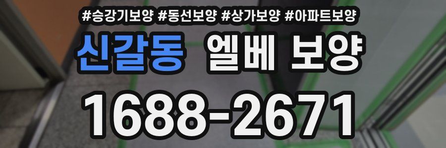신갈동 엘베 보양