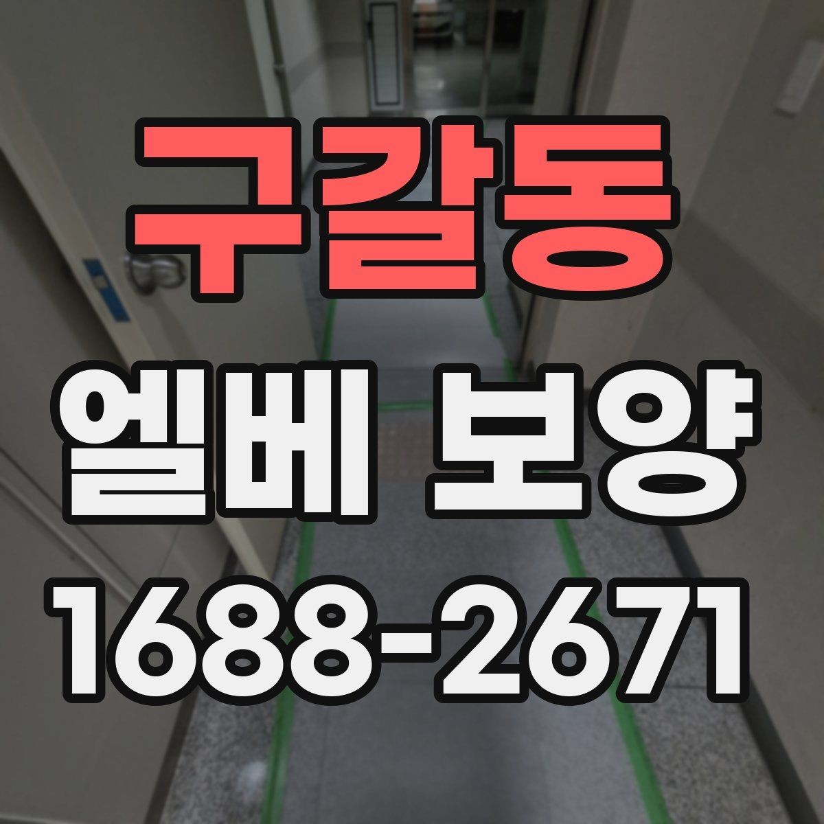 구갈동 엘베 보양 승강기 내부 마감 손상 막는 실무 팁