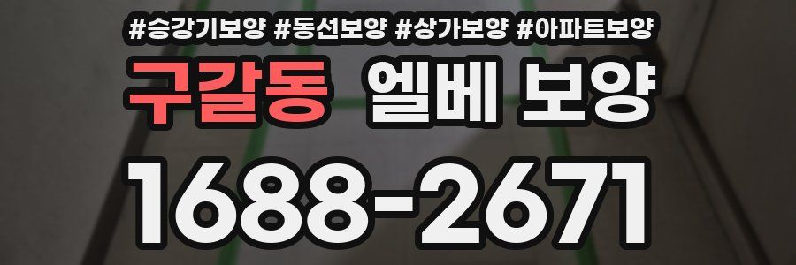 구갈동 엘베 보양