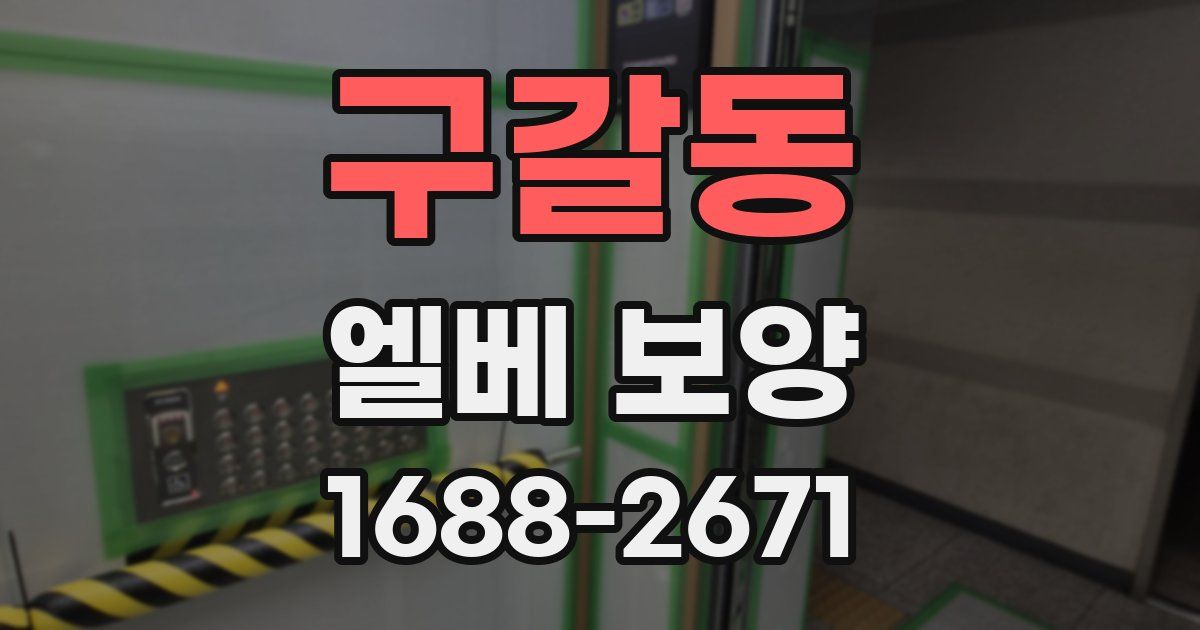 구갈동 엘베 보양