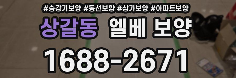 상갈동 엘베 보양