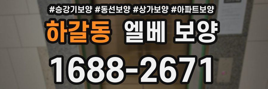 하갈동 엘베 보양