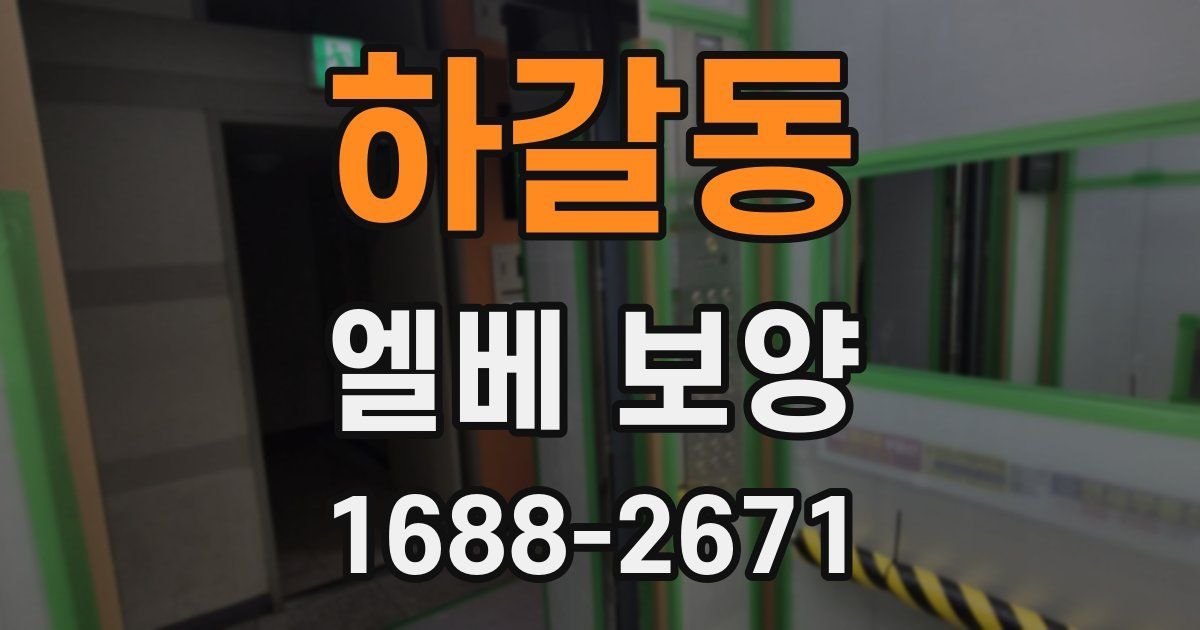 하갈동 엘베 보양