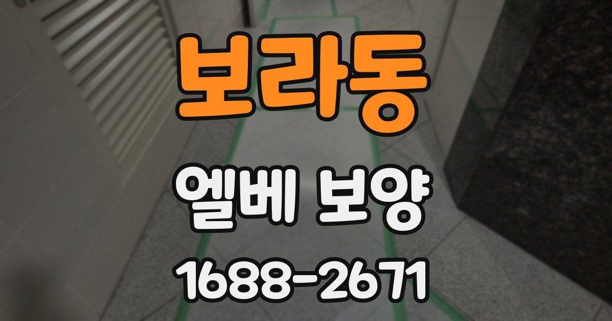 보라동 엘베 보양
