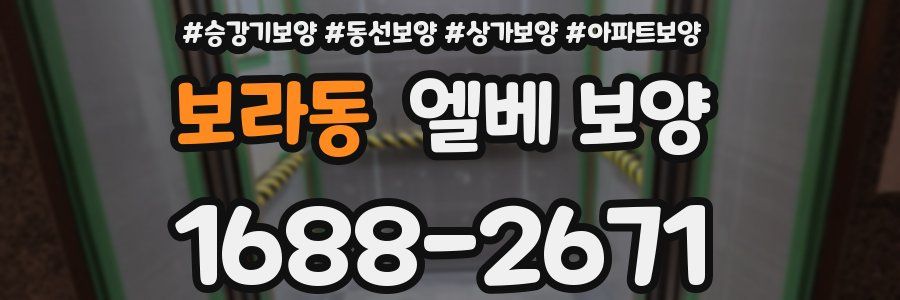 보라동 엘베 보양