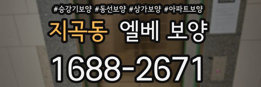 지곡동 엘베 보양