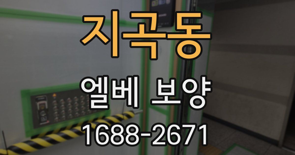 지곡동 엘베 보양