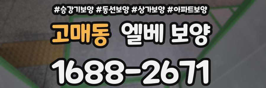 고매동 엘베 보양