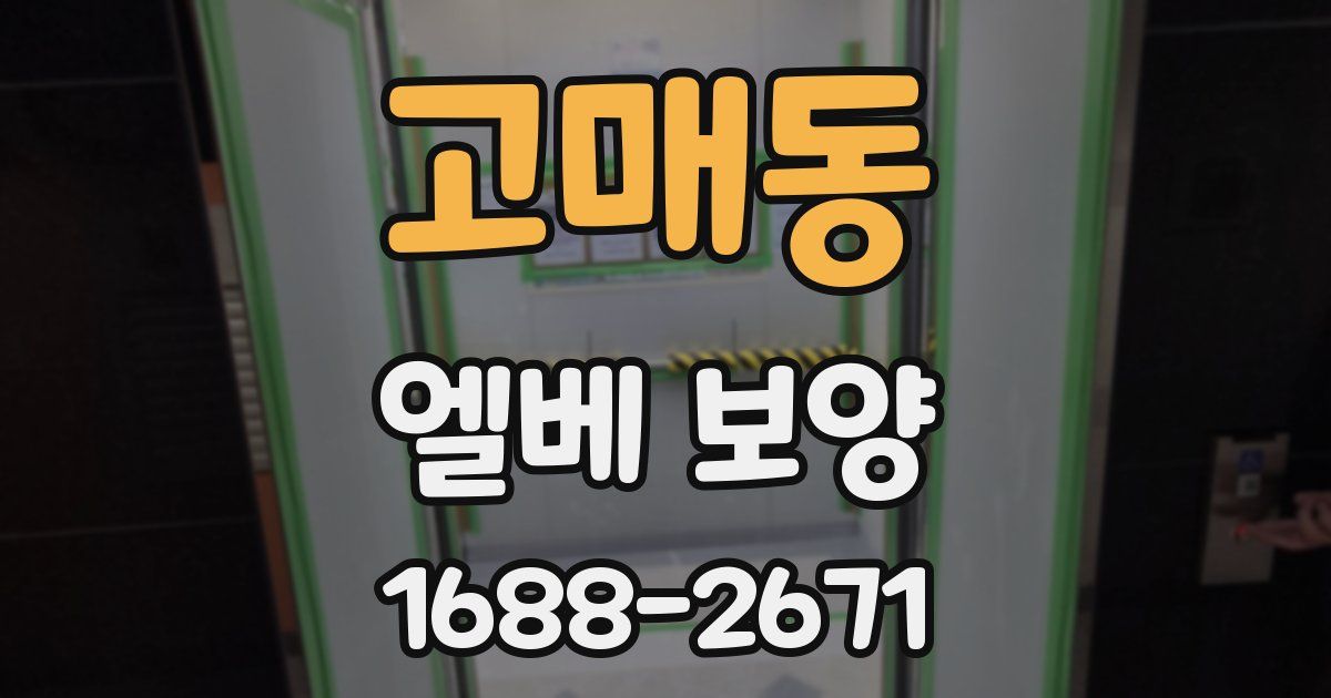 고매동 엘베 보양