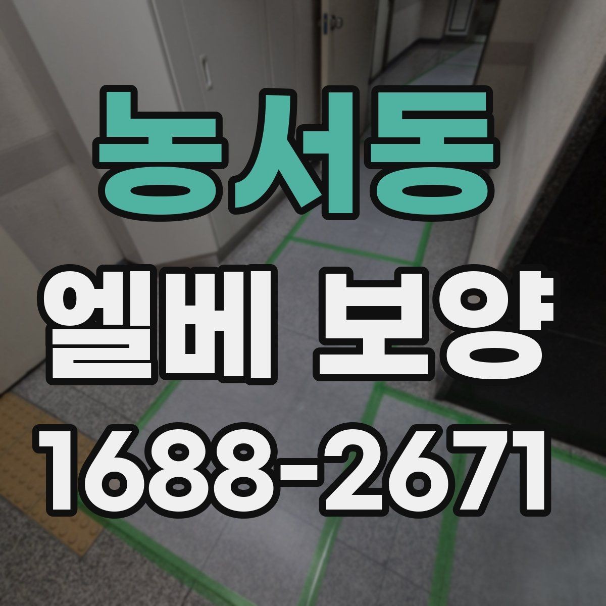 농서동 엘베 보양 마감이 깔끔해야 하는 현장 체크사항