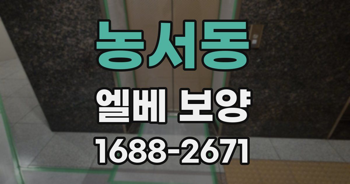농서동 엘베 보양