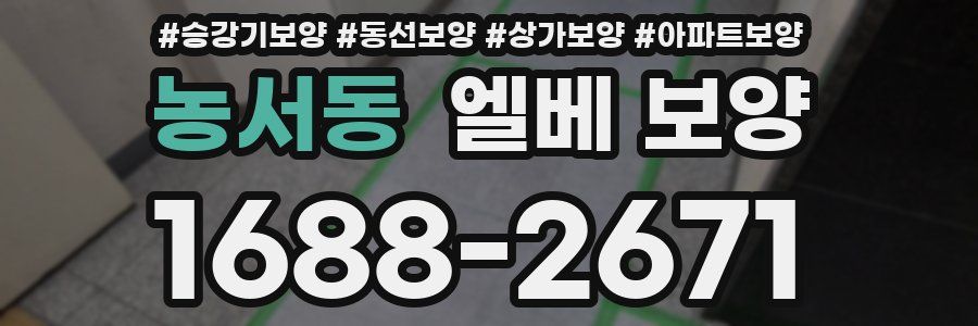 농서동 엘베 보양