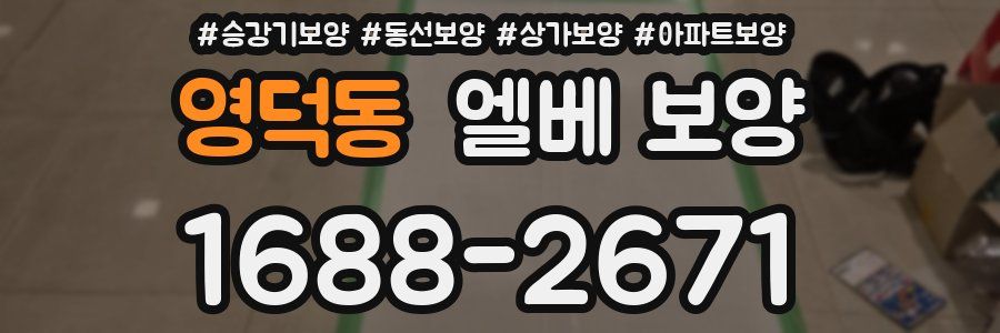 영덕동 엘베 보양