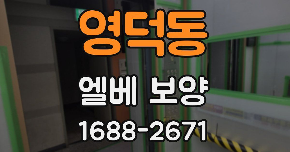 영덕동 엘베 보양