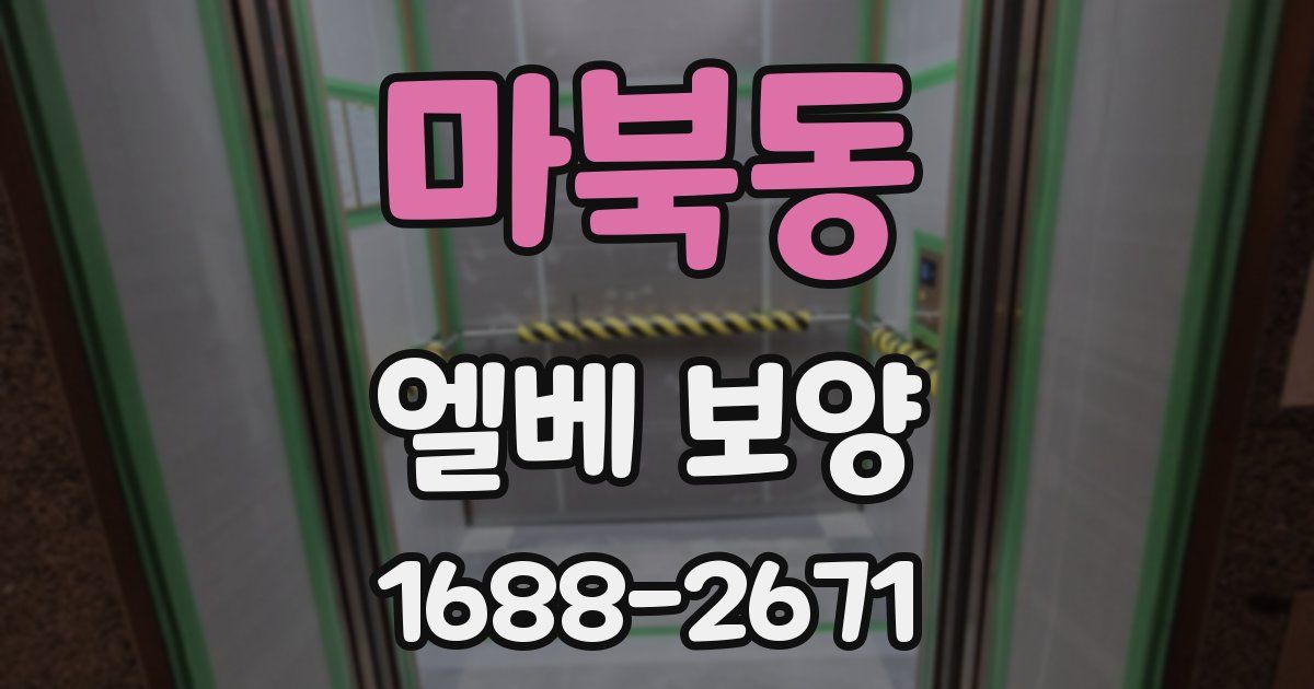 마북동 엘베 보양