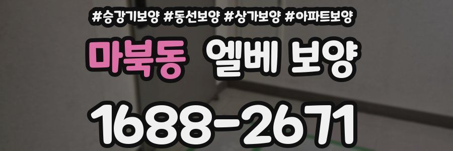 마북동 엘베 보양