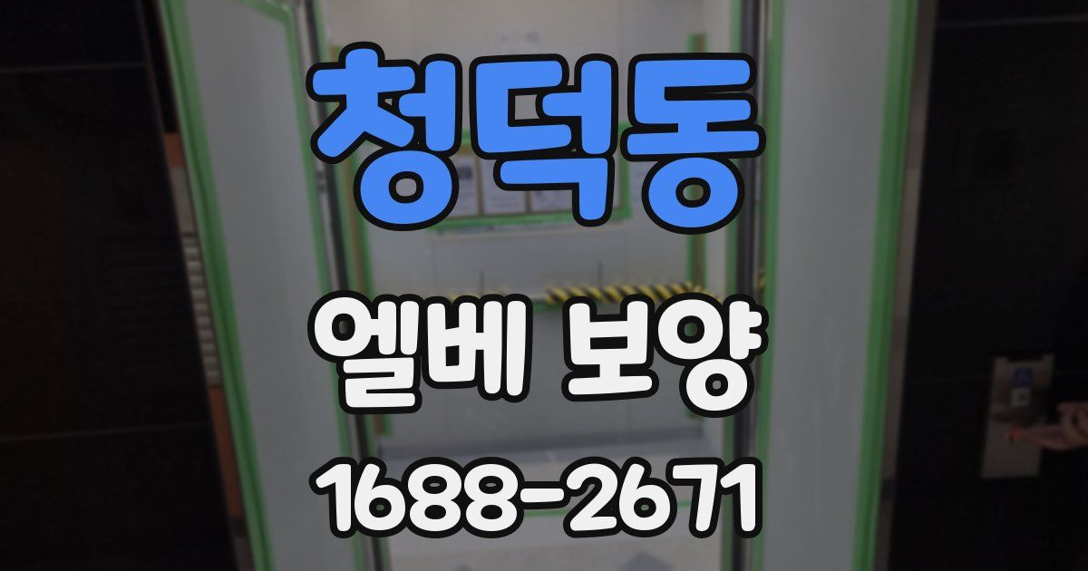 청덕동 엘베 보양