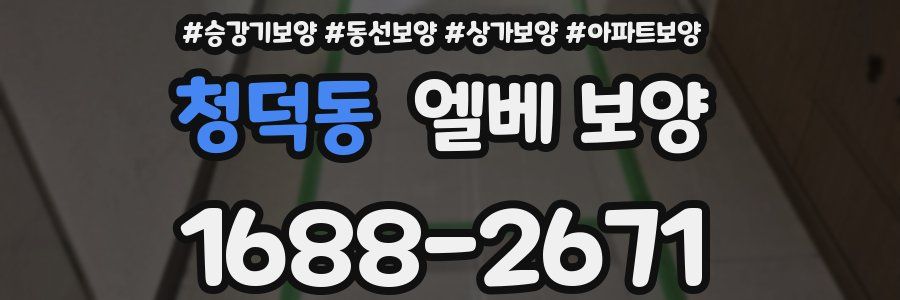 청덕동 엘베 보양
