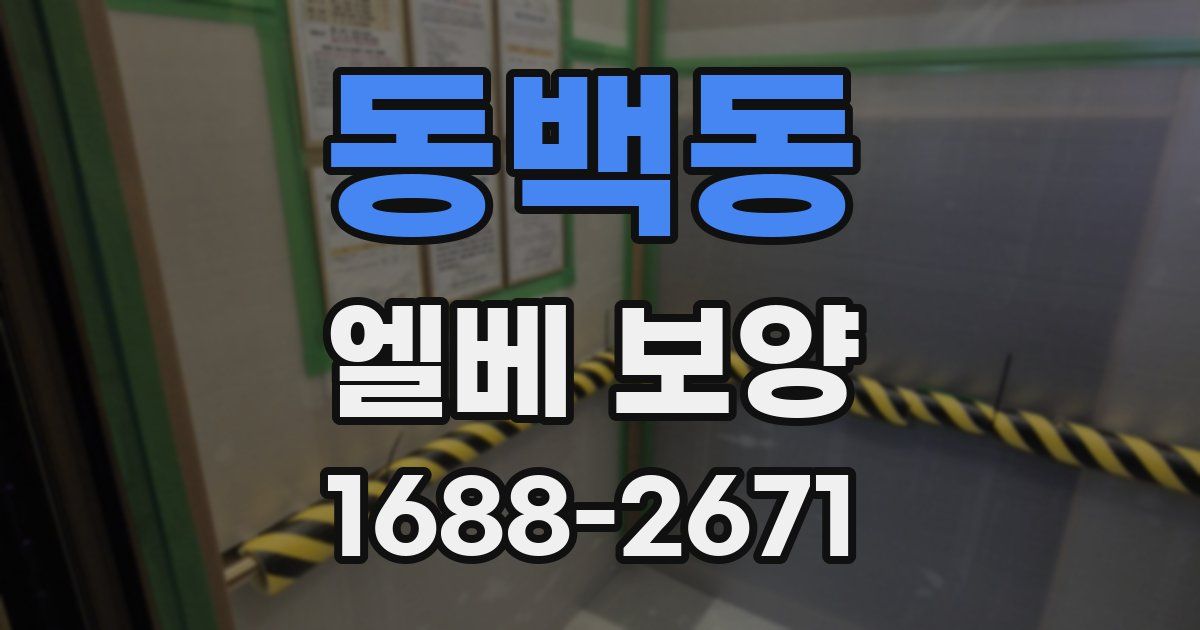 동백동 엘베 보양