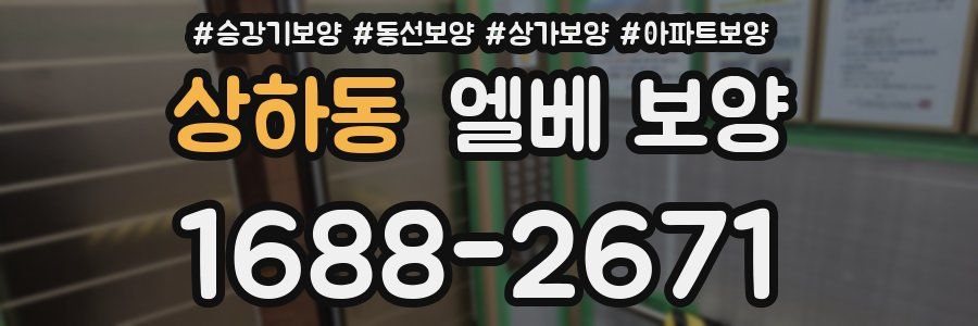 상하동 엘베 보양