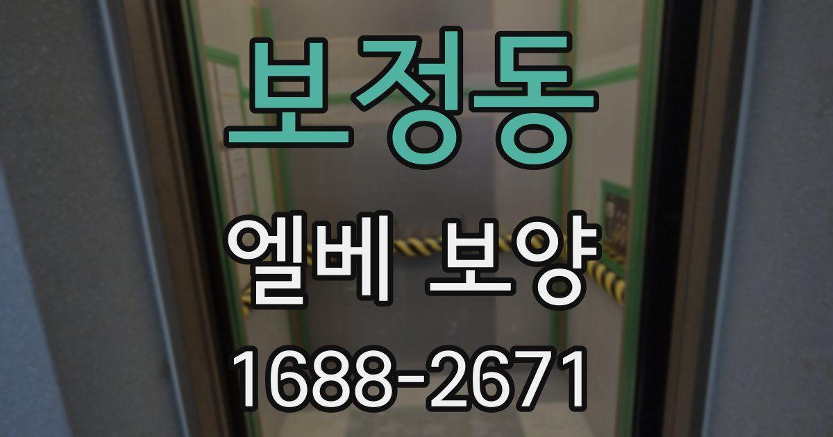 보정동 엘베 보양