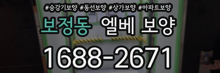 보정동 엘베 보양