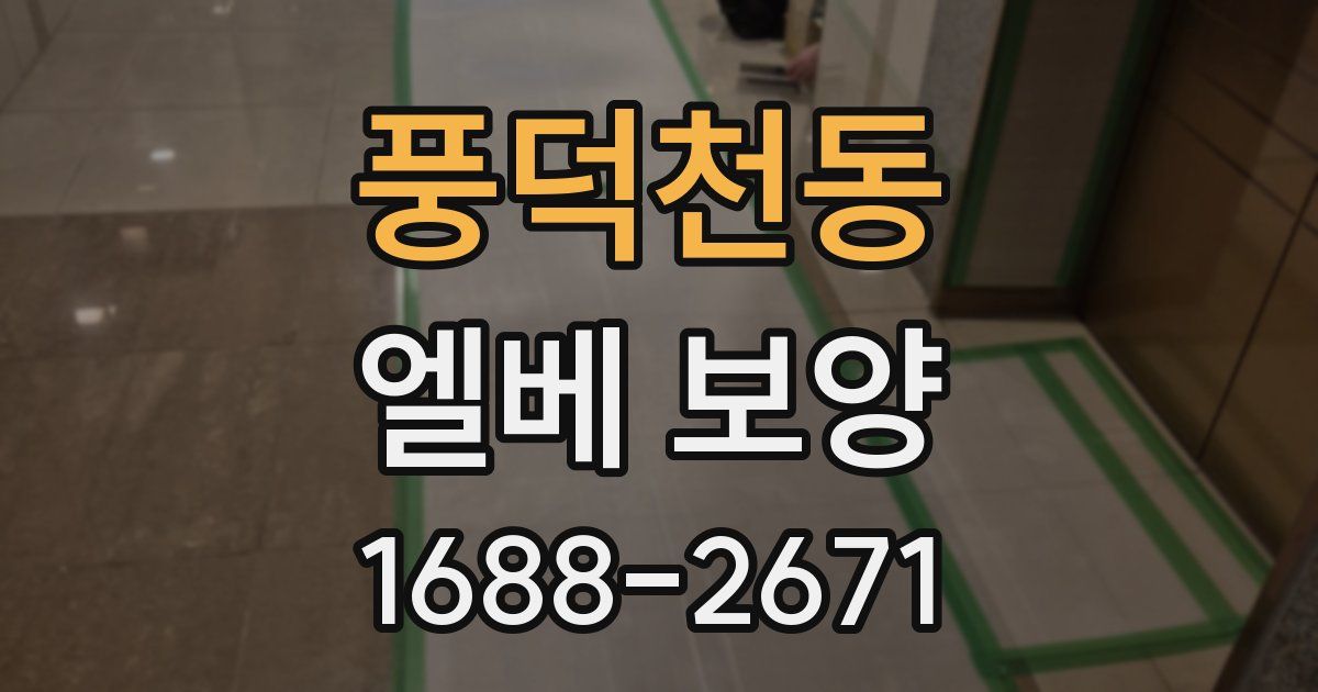 풍덕천동 엘베 보양