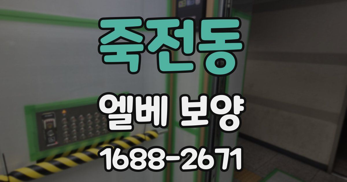 죽전동 엘베 보양