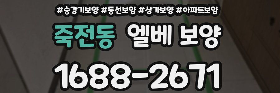 죽전동 엘베 보양