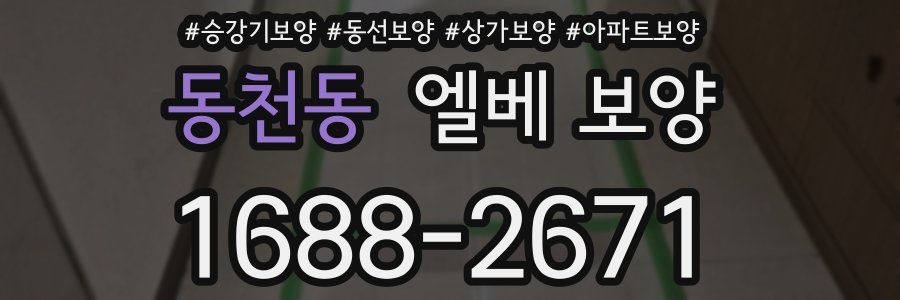 동천동 엘베 보양