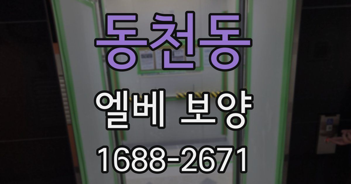 동천동 엘베 보양