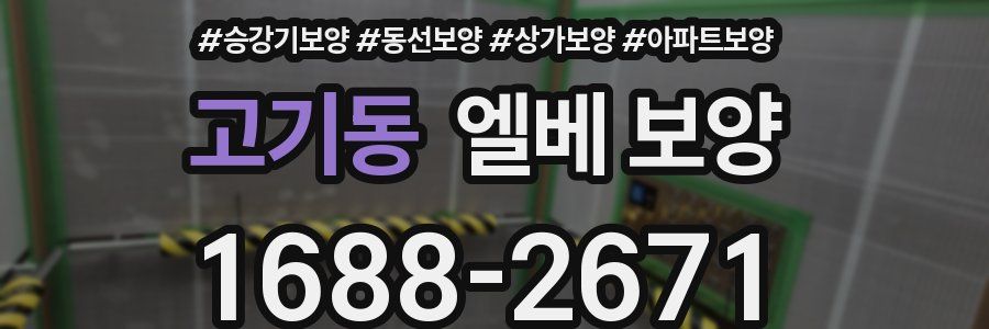 고기동 엘베 보양