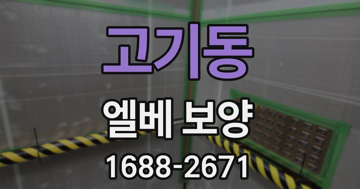 고기동 엘베 보양