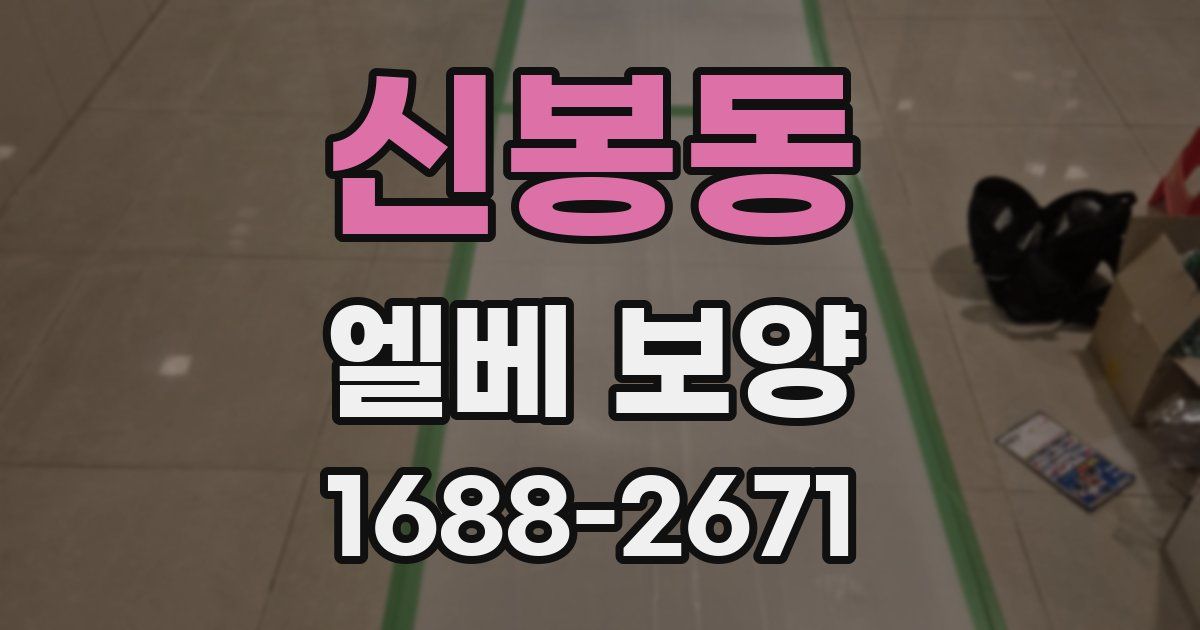 신봉동 엘베 보양