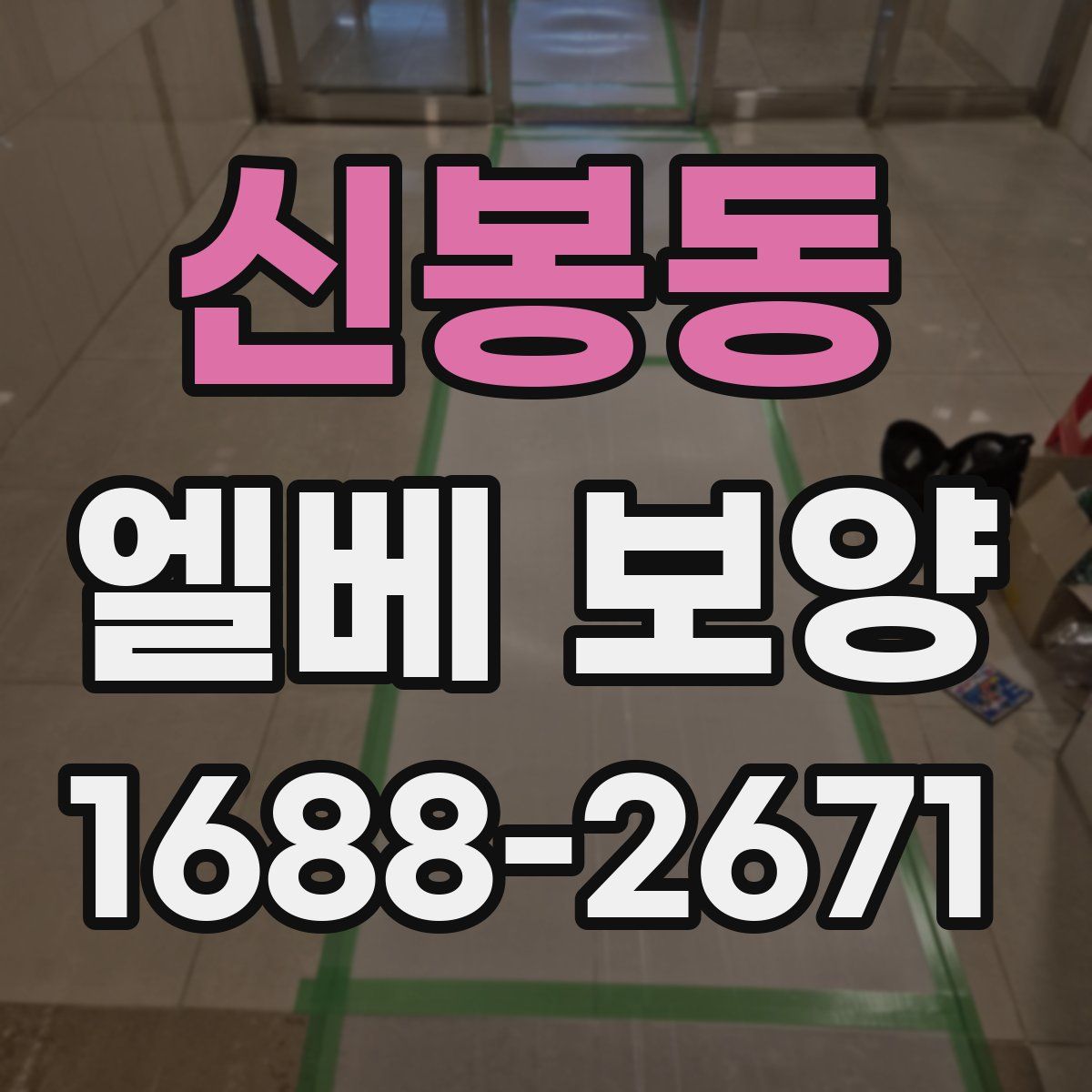신봉동 엘베 보양