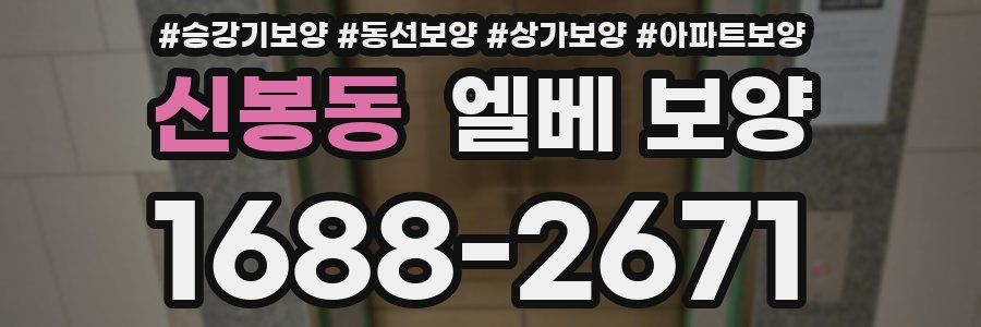 신봉동 엘베 보양