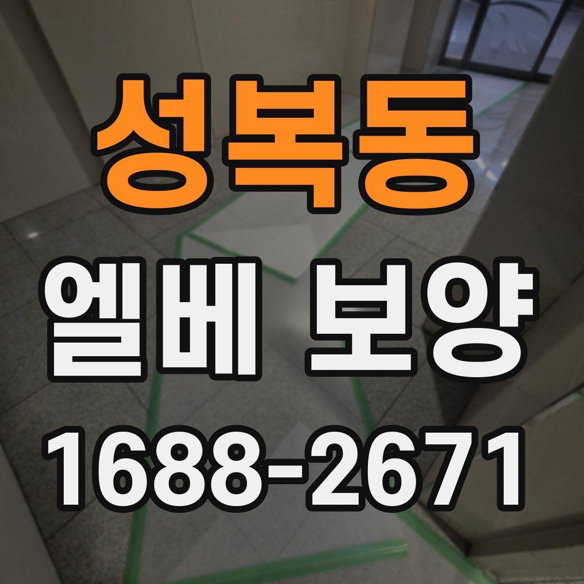 성복동 엘베 보양
