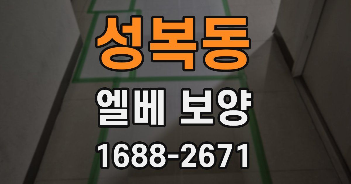 성복동 엘베 보양